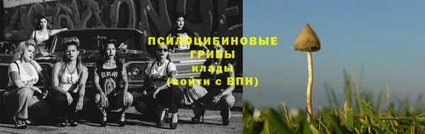 МДПВ Аркадак