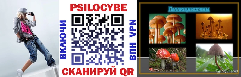 Галлюциногенные грибы прущие грибы  купить наркотик  Рошаль 