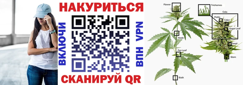 мориарти как зайти  Рошаль  Конопля White Widow 